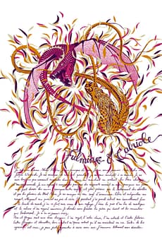 Fulmine et Cabriole #2